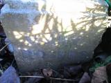 image of grave number 364541